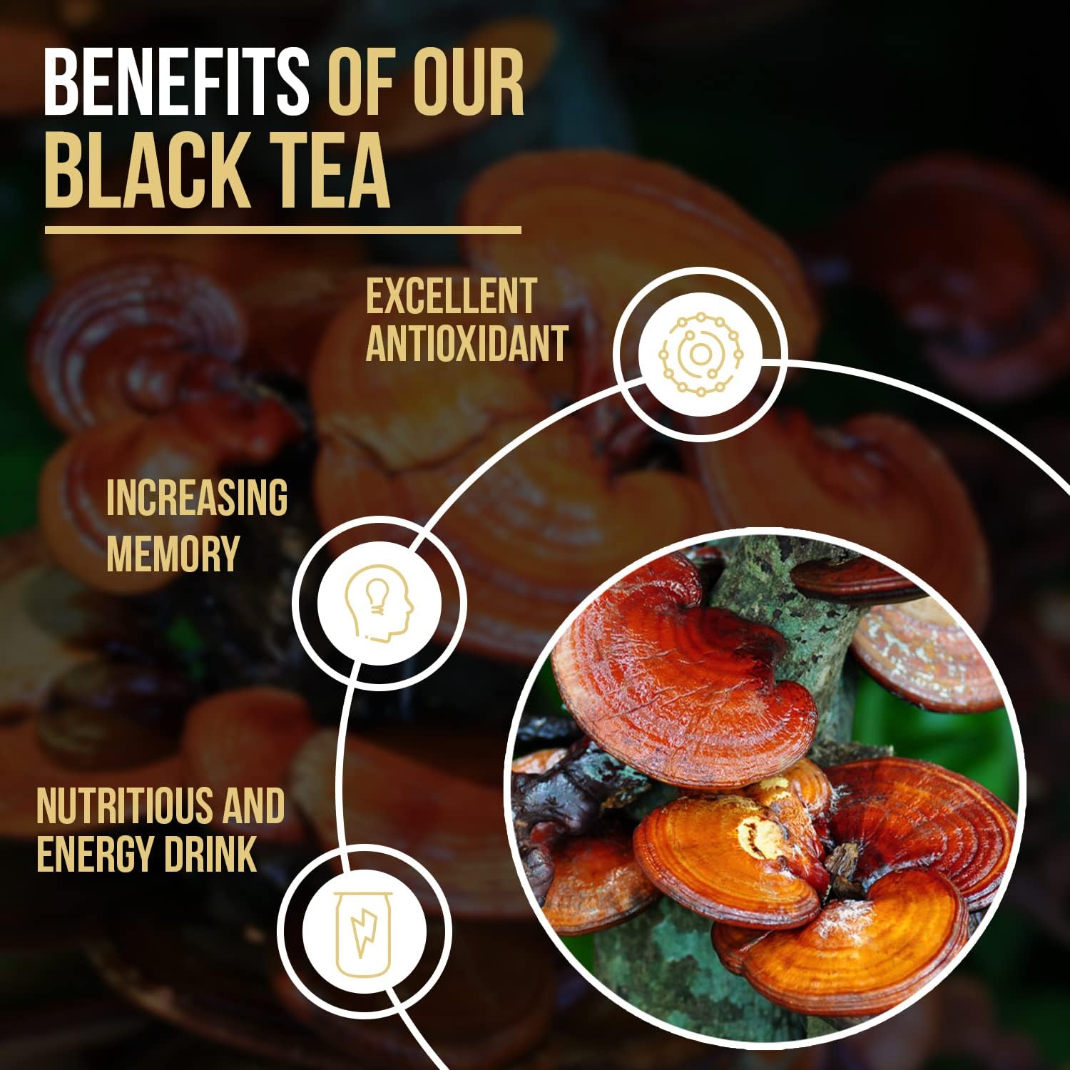 Black Tea Supplement | Buy Black Tea Supplement | Nutri Divina