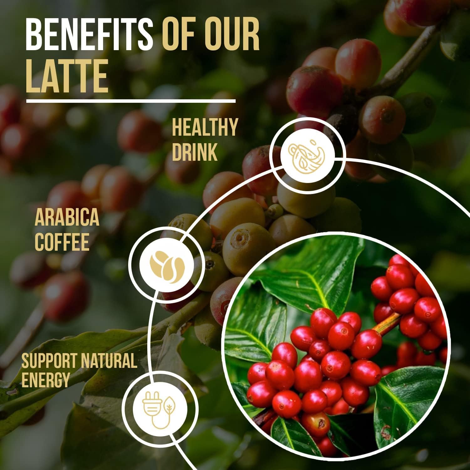 Latte Coffee | Latte Premium Coffee | Nutri Divina