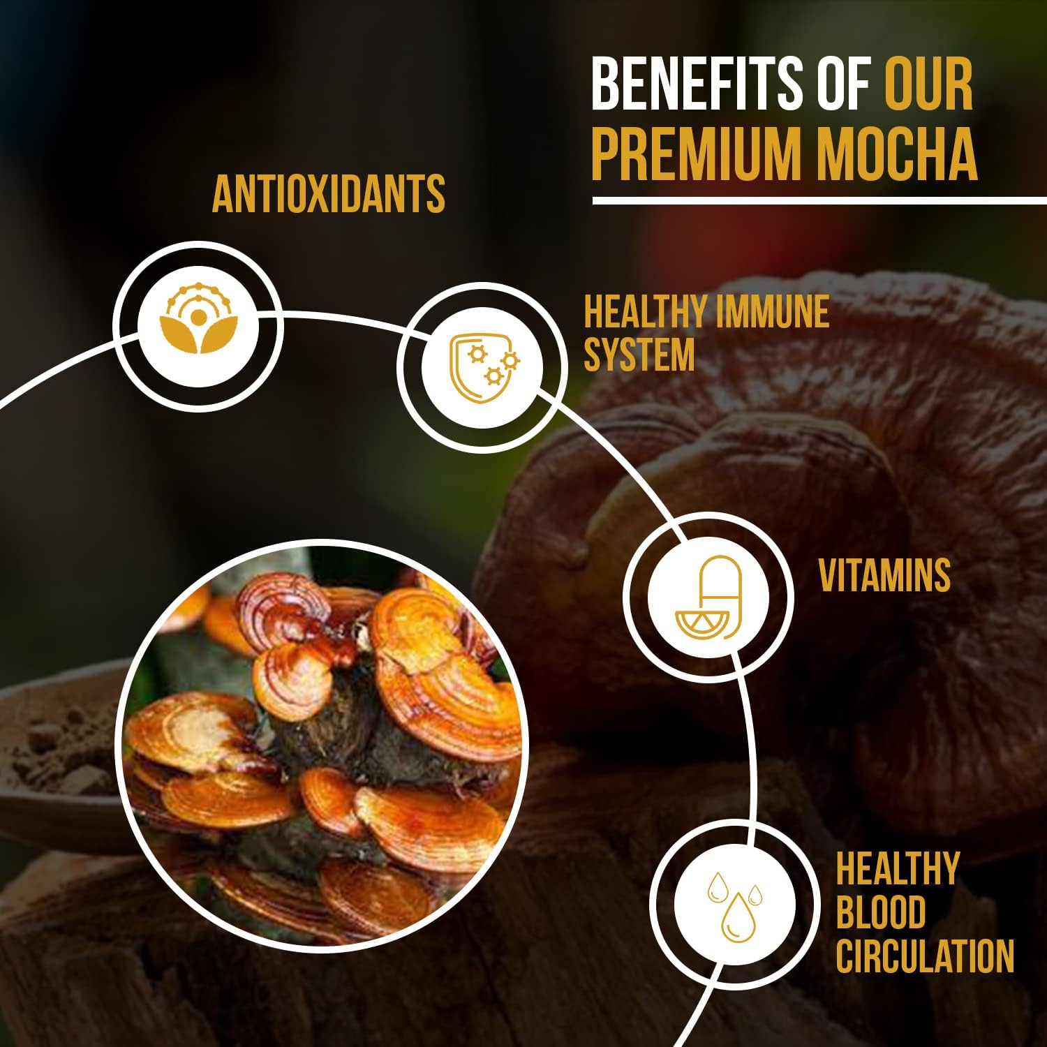 Mocha Coffee | Mucha Premium Coffee | Nutri Divina